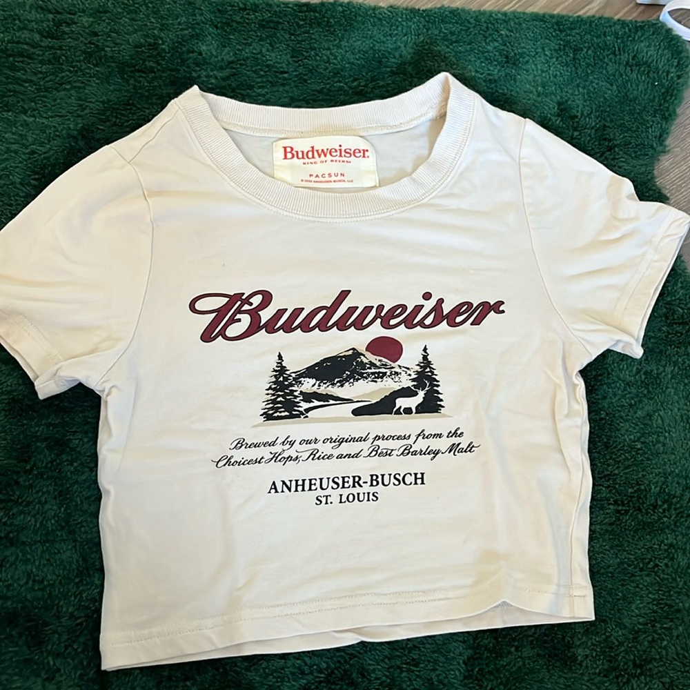 Cute crop top from Pacsun. Size small